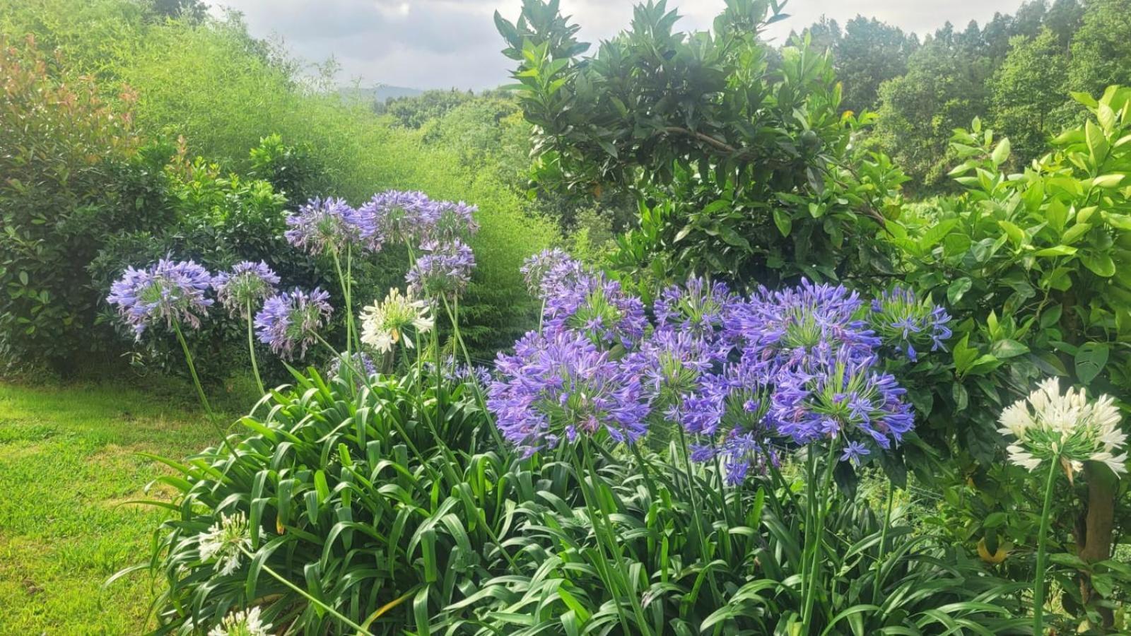 Aldori Landetxea: Adults-only Biosphere Retreat Hotel Muxika