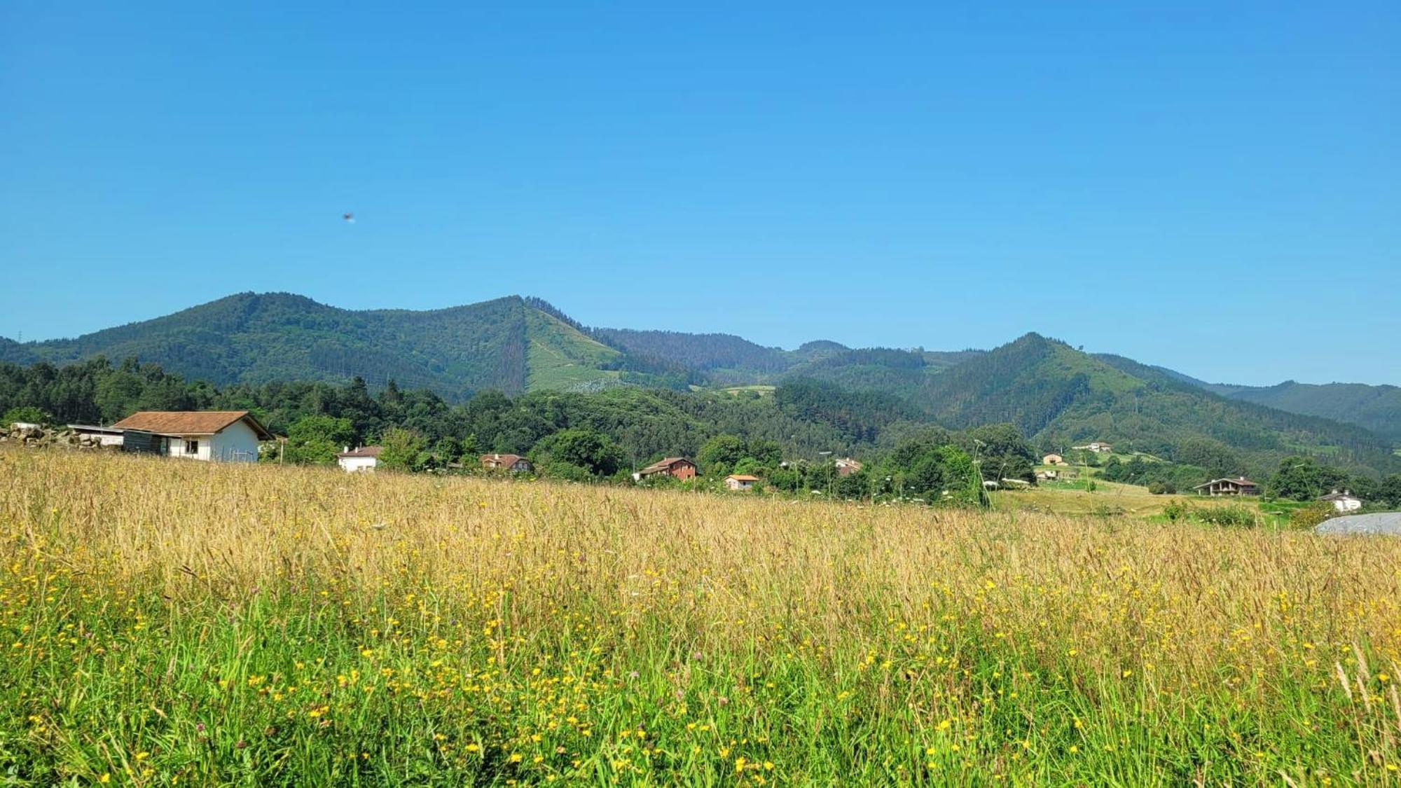 Hotel Aldori Landetxea - Adults Only - Pets Friendly - Reserva De La Biosfera Urdaibai